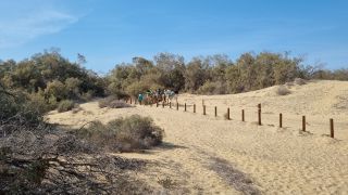 2023-GC--Mapalomas dunas-S123-208.jpg